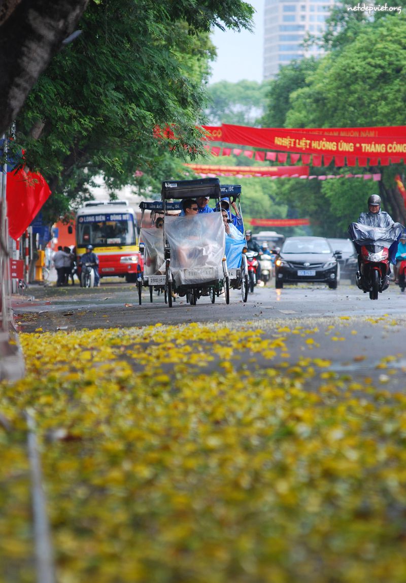 dinhtienhoang-street.jpg